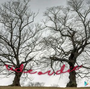 Meet your Posher, Leona